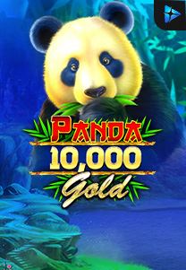 Bocoran RTP Panda Gold 10.000 di MAXIM178