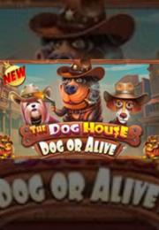 Bocoran RTP The Dog House – Dog or Alive di MAXIM178