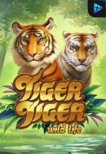 Bocoran RTP Tiger Tiger Wild Life di MAXIM178