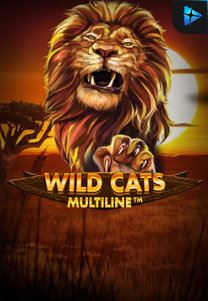 Bocoran RTP Wild Cat Multiline di MAXIM178