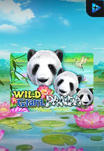 Bocoran RTP Wild Giant Panda di MAXIM178