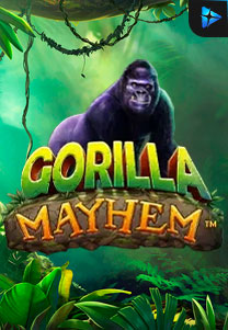 Bocoran RTP Gorilla Mayhem di MAXIM178